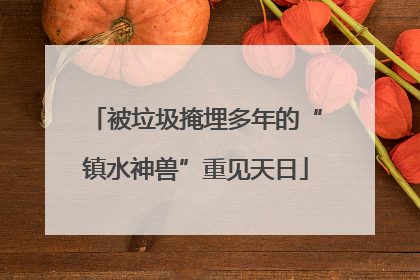 被垃圾掩埋多年的“镇水神兽”重见天日
