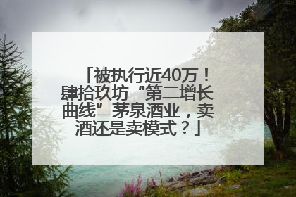 被执行近40万！肆拾玖坊“第二增长曲线”茅泉酒业，卖酒还是卖模式？