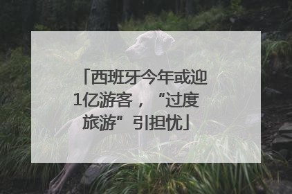 西班牙今年或迎1亿游客，“过度旅游”引担忧