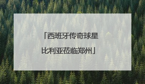 西班牙传奇球星 比利亚莅临郑州