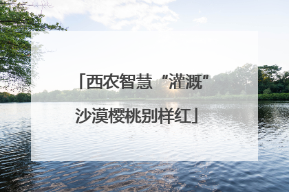 西农智慧“灌溉” 沙漠樱桃别样红