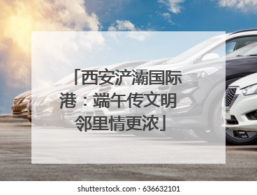西安浐灞国际港：端午传文明 邻里情更浓