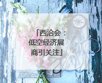 西洽会：低空经济展商引关注