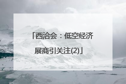 西洽会：低空经济展商引关注(2)