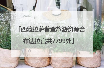 西藏拉萨普查旅游资源含布达拉宫共7799处