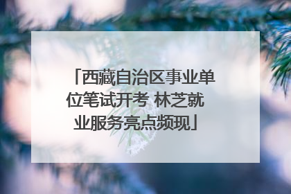 西藏自治区事业单位笔试开考 林芝就业服务亮点频现
