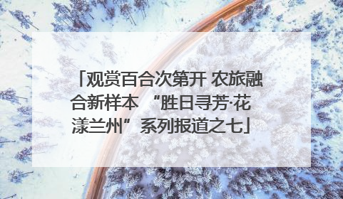 观赏百合次第开 农旅融合新样本 “胜日寻芳·花漾兰州”系列报道之七