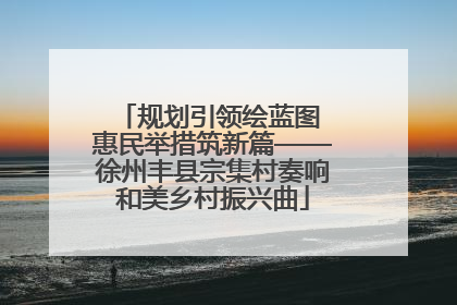 规划引领绘蓝图 惠民举措筑新篇——徐州丰县宗集村奏响和美乡村振兴曲