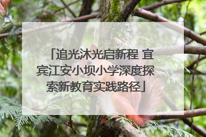 追光沐光启新程 宜宾江安小坝小学深度探索新教育实践路径
