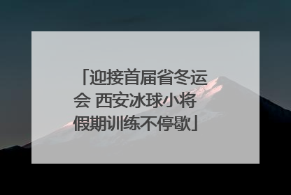 迎接首届省冬运会 西安冰球小将假期训练不停歇