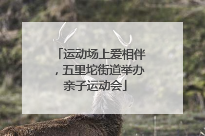 运动场上爱相伴，五里坨街道举办亲子运动会