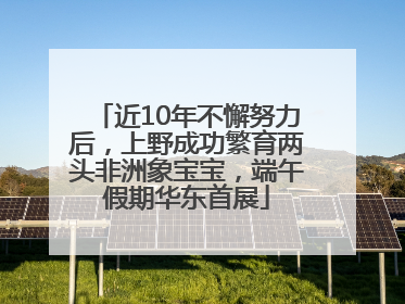 近10年不懈努力后，上野成功繁育两头非洲象宝宝，端午假期华东首展