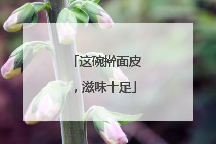 这碗擀面皮，滋味十足