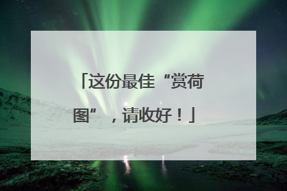 这份最佳“赏荷图”，请收好！