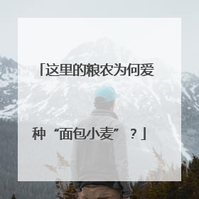 这里的粮农为何爱种“面包小麦”？