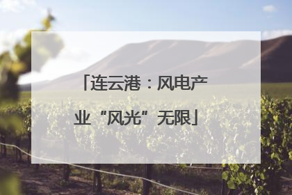 连云港：风电产业“风光”无限