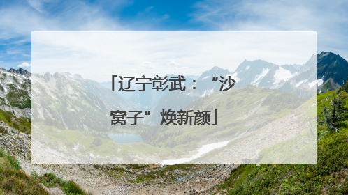 辽宁彰武：“沙窝子”焕新颜