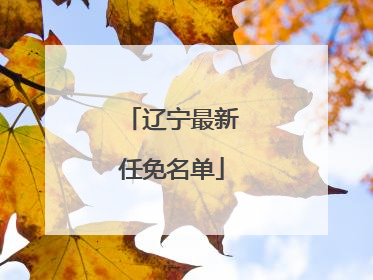 辽宁最新任免名单