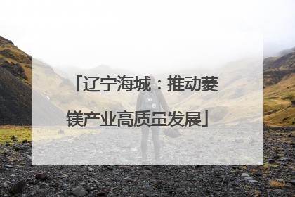 辽宁海城：推动菱镁产业高质量发展