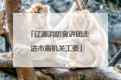 辽源消防宣讲团走进市直机关工委