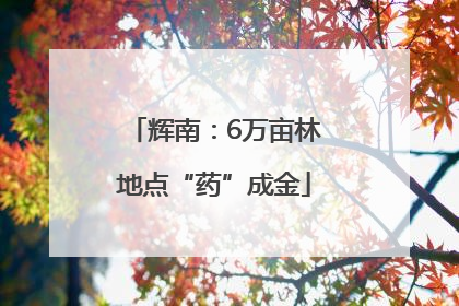 辉南：6万亩林地点“药”成金