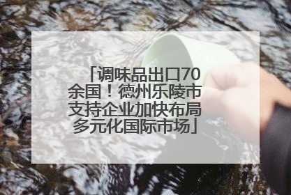调味品出口70余国！德州乐陵市支持企业加快布局多元化国际市场