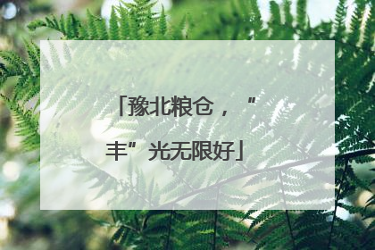 豫北粮仓，“丰”光无限好