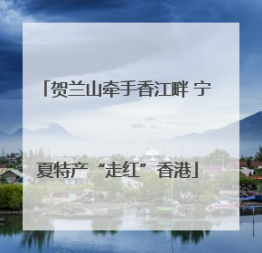贺兰山牵手香江畔 宁夏特产“走红”香港