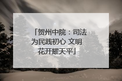 贺州中院：司法为民践初心 文明花开耀天平