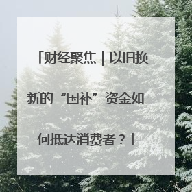 财经聚焦｜以旧换新的“国补”资金如何抵达消费者？