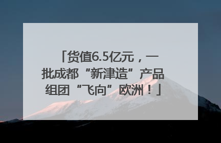货值6.5亿元，一批成都“新津造”产品组团“飞向”欧洲！