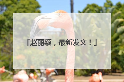 赵丽颖，最新发文！