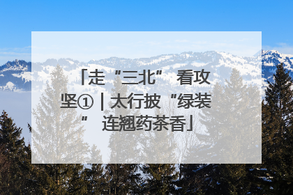 走“三北” 看攻坚①｜太行披“绿装” 连翘药茶香