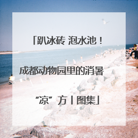 趴冰砖 泡水池！成都动物园里的消暑“凉”方丨图集
