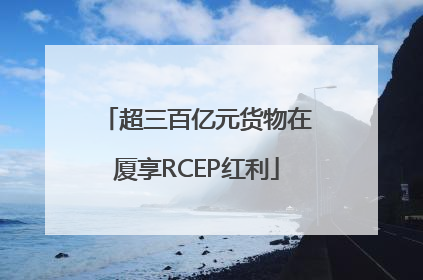 超三百亿元货物在厦享RCEP红利