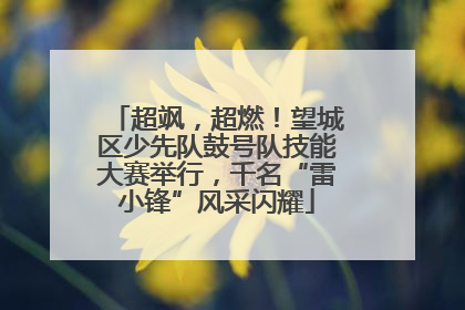 超飒，超燃！望城区少先队鼓号队技能大赛举行，千名“雷小锋”风采闪耀