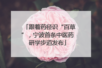 跟着药径识“百草”，宁波首条中医药研学步道发布