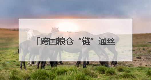 跨国粮仓“链”通丝路 西安爱菊让老陕餐桌飘香中亚味道