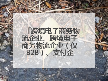 跨境电子商务物流企业、跨境电子商务物流企业（仅B2B）、支付企业备案操作指南