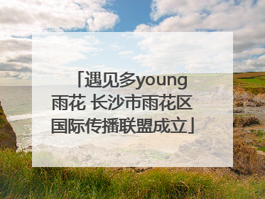 遇见多young雨花 长沙市雨花区国际传播联盟成立