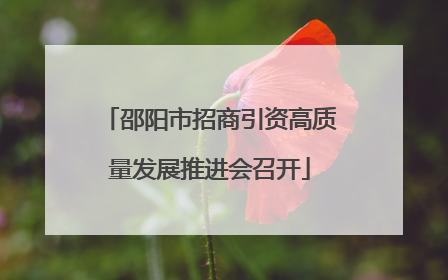 邵阳市招商引资高质量发展推进会召开
