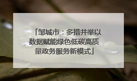邹城市：多措并举以数据赋能绿色低碳高质量政务服务新模式
