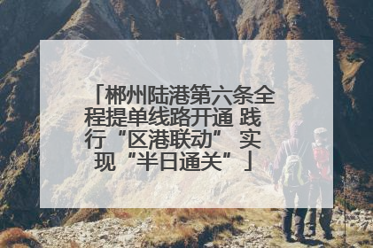 郴州陆港第六条全程提单线路开通 践行“区港联动” 实现“半日通关”