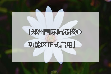 郑州国际陆港核心功能区正式启用