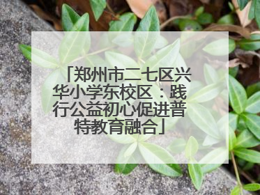 郑州市二七区兴华小学东校区：践行公益初心促进普特教育融合