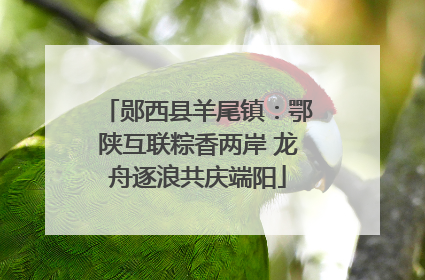 郧西县羊尾镇：鄂陕互联粽香两岸 龙舟逐浪共庆端阳