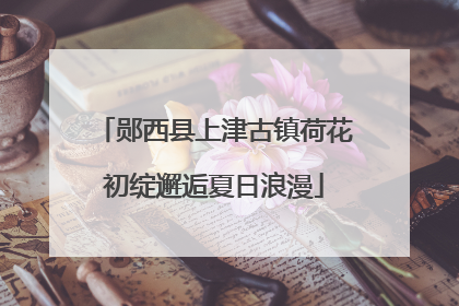 郧西县上津古镇荷花初绽邂逅夏日浪漫