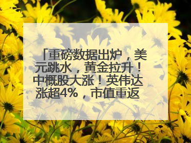 重磅数据出炉，美元跳水，黄金拉升！中概股大涨！英伟达涨超4%，市值重返全球第一！黄仁勋计划出售至多600万股股票