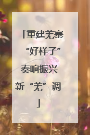 重建羌寨“好样子” 奏响振兴新“羌”调