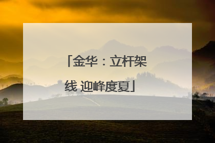 金华：立杆架线 迎峰度夏